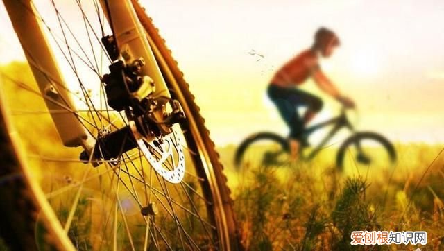 骑行的好处和坏处有多大