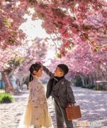 金屋藏娇的典故是什么,金屋藏娇典故阿娇后来怎么样了