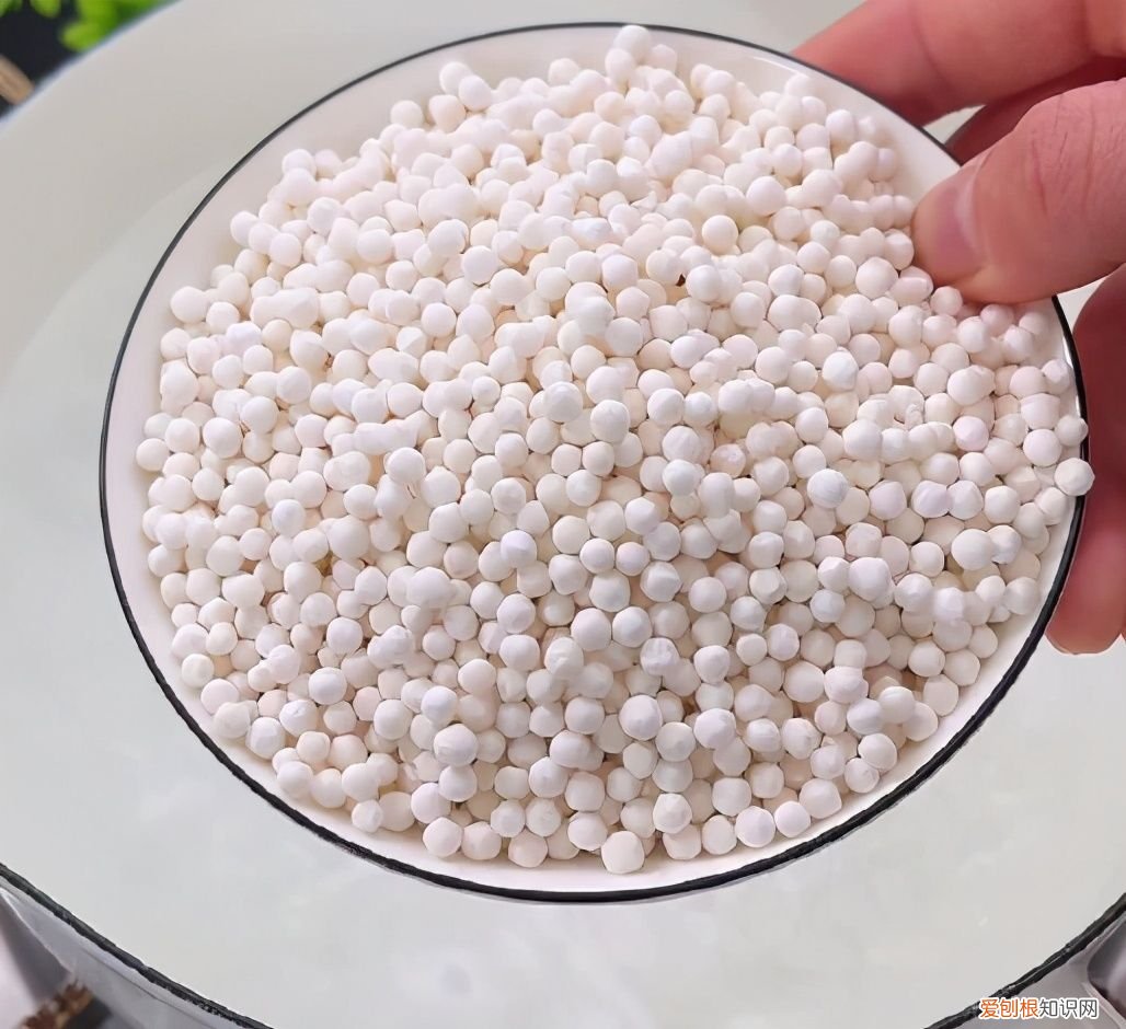 椰汁西米露怎么做 椰汁西米露的做法