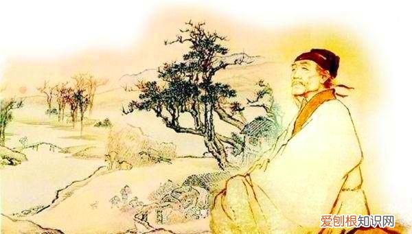 无边落木萧萧下为什么是落木不是落叶