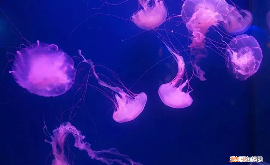 珠海周边10个绝美好玩的景点 珠海周边游