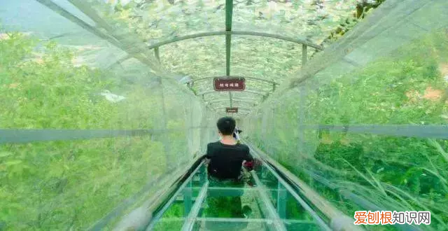 珠海周边10个绝美好玩的景点 珠海周边游