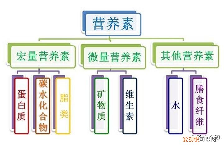 考营养师有前途吗? 营养师就业