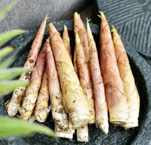 最美味的15种野菜 野菜种类