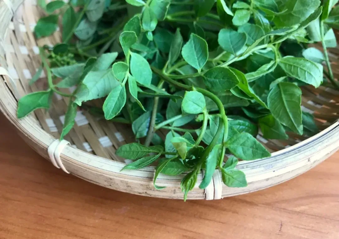 最美味的15种野菜 野菜种类