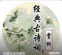 鹿柴古诗王维诵读及译文 鹿柴古诗王维朗诵解析