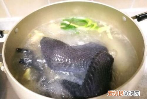 乌鸡汤要放料酒吗,清炖乌鸡用什么调料 可以放冬瓜