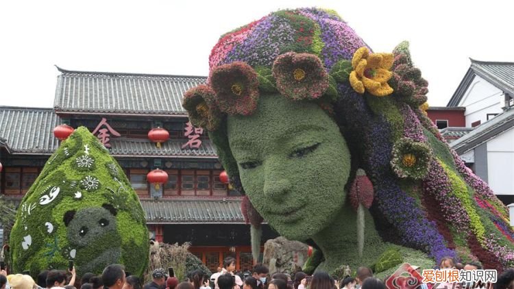 昆明花仙子是谁设计的，茶花中较为名贵的品种有哪些
