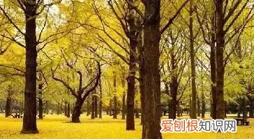 你出生的时辰决定了你的性格