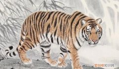 虎画文言文翻译及阅读理解答案,古文形容人斗虎