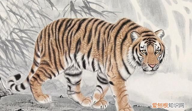 虎画文言文翻译及阅读理解答案,古文形容人斗虎