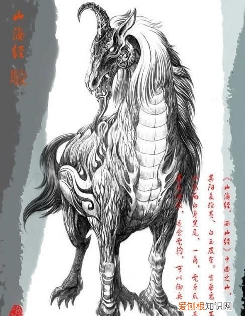 虎画文言文翻译及阅读理解答案,古文形容人斗虎