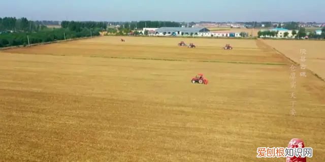 xùn 河南浚县：一个自古就与粮食、土地紧密关联的地方