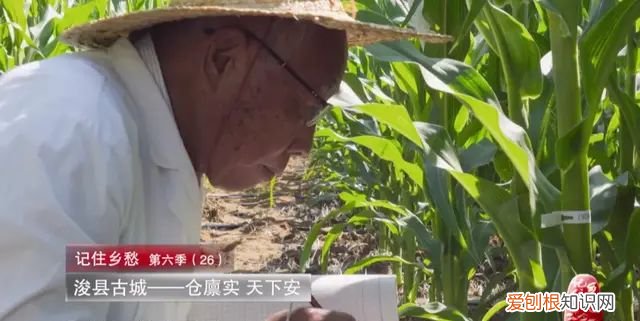 xùn 河南浚县：一个自古就与粮食、土地紧密关联的地方