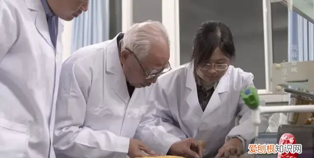 xùn 河南浚县：一个自古就与粮食、土地紧密关联的地方