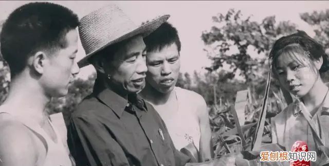 xùn 河南浚县：一个自古就与粮食、土地紧密关联的地方