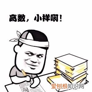 高等数学学习指导！(高数应该怎么学？）