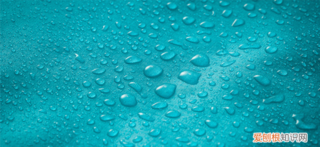 官网包邮迪卡侬男女轻便双肩背包