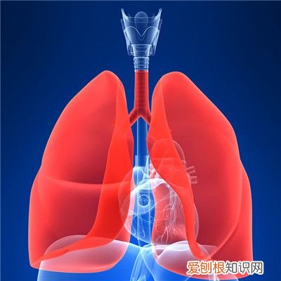 肺癌患者的饮食要注意啥？ 肺癌病人的饮食