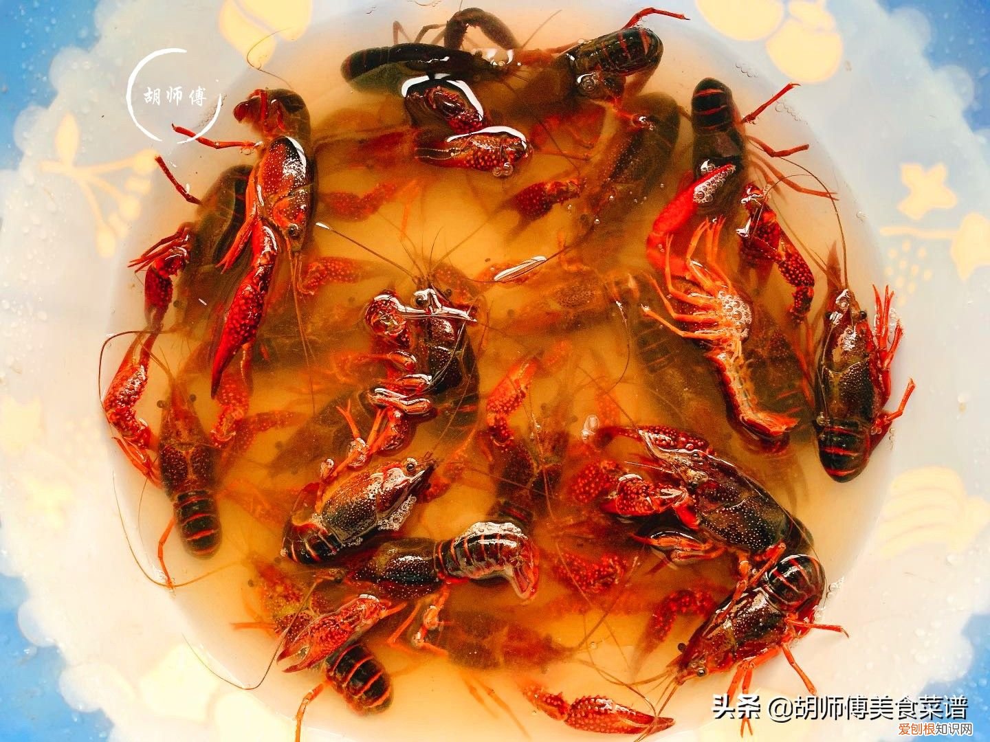 龙虾好吃清洗难？ 龙虾怎么洗