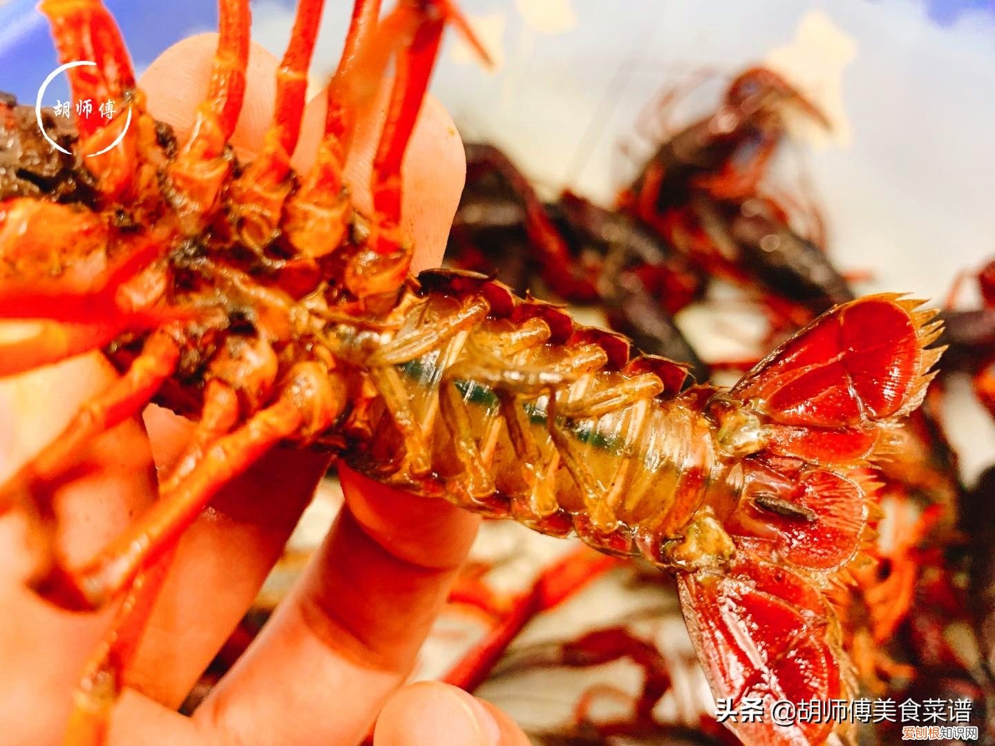 龙虾好吃清洗难？ 龙虾怎么洗