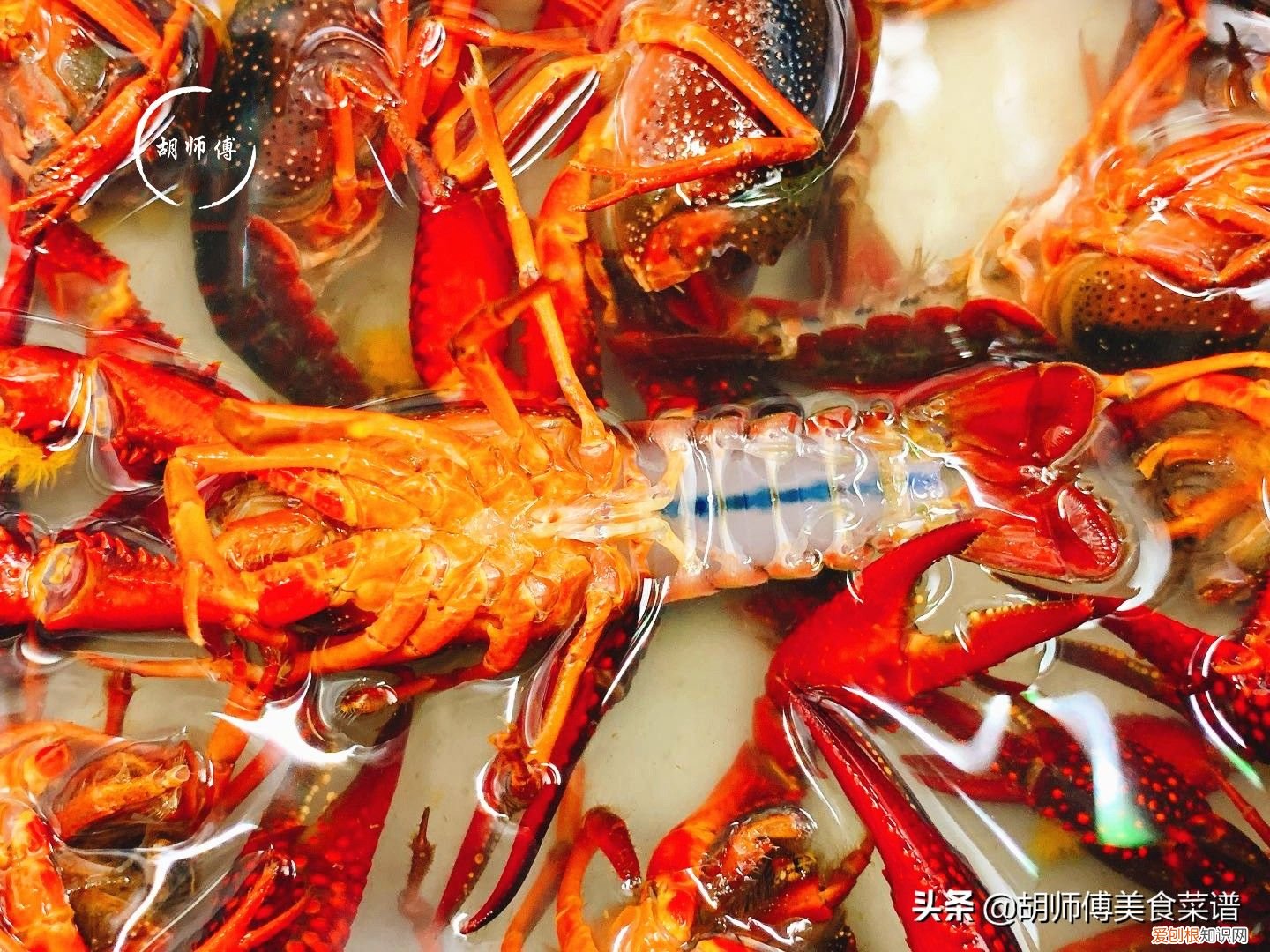 龙虾好吃清洗难？ 龙虾怎么洗