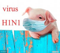 甲型H1N1流感有什么症状？ 甲型h1n1流感的症状