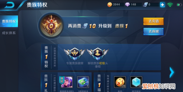 王者荣耀如何查看贵族特权，《王者荣耀》贵族等级显示在哪里看到