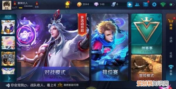 王者荣耀如何查看贵族特权，《王者荣耀》贵族等级显示在哪里看到