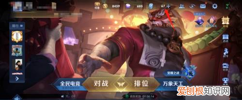 王者荣耀如何查看贵族特权，《王者荣耀》贵族等级显示在哪里看到