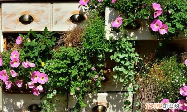 阳光正能量的句子,经典励志,越读越优秀