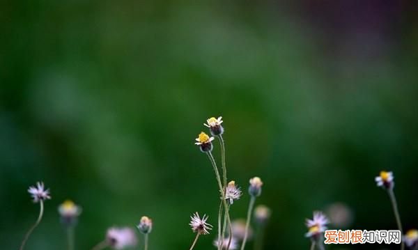 阳光正能量的句子,经典励志,越读越优秀