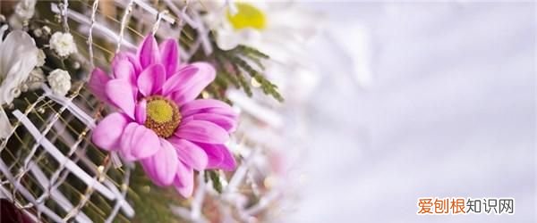 阳光正能量的句子,经典励志,越读越优秀