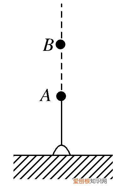 高中物理自由落体与竖直上抛运动 竖直上抛运动