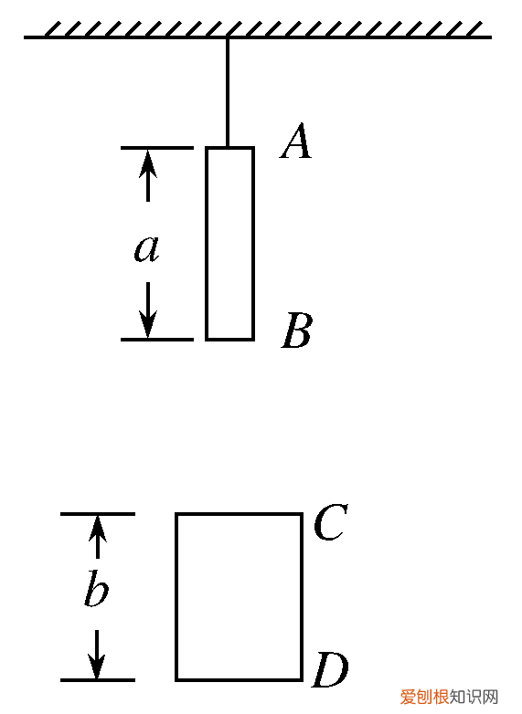 高中物理自由落体与竖直上抛运动 竖直上抛运动