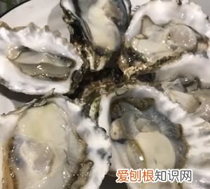 牡蛎可以整个蒸吗，乳山生蚝可以带壳蒸