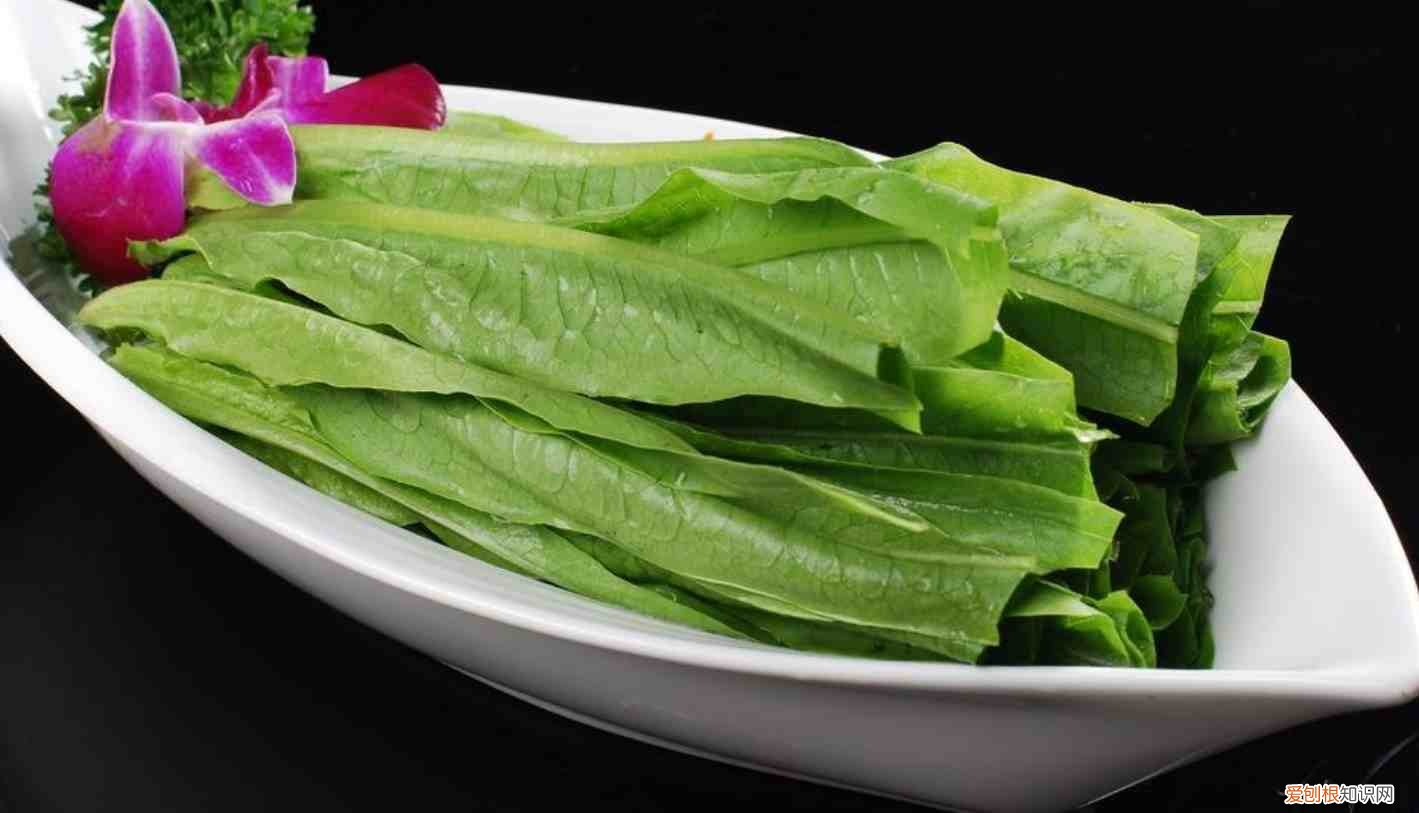 5种油麦菜家常做法 油麦菜怎么做好吃