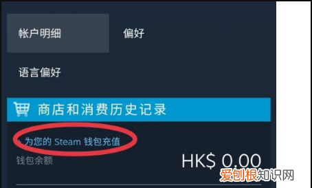 怎么给steam充值阿根廷比索