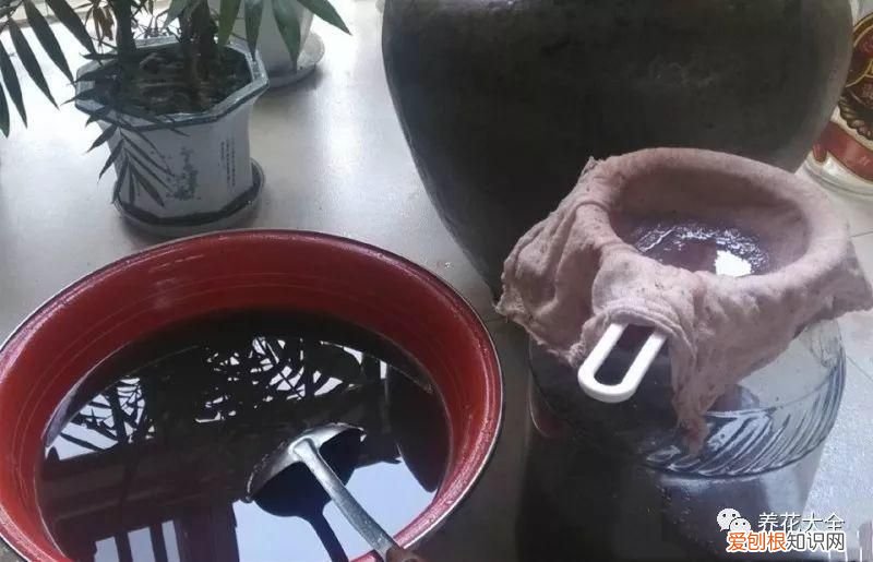 葡萄酒不用买，学会这几招 如何酿制葡萄酒