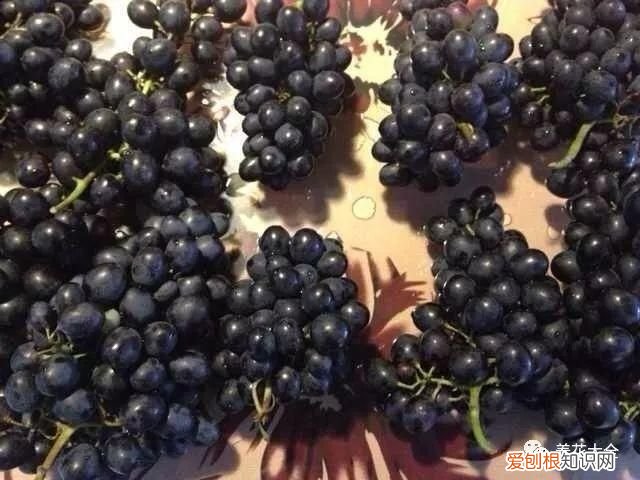 葡萄酒不用买，学会这几招 如何酿制葡萄酒