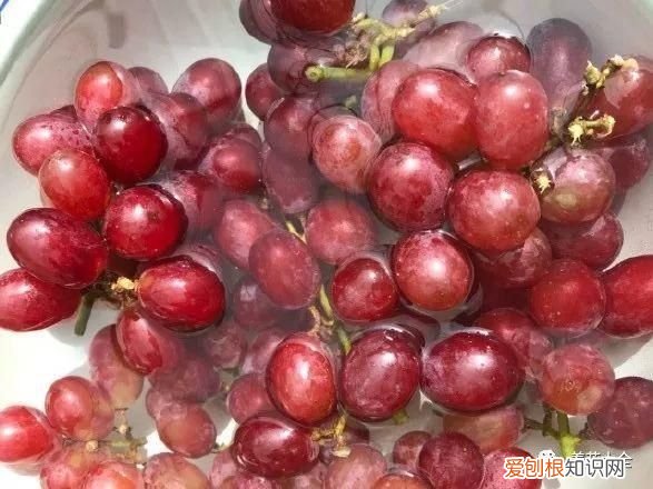 葡萄酒不用买，学会这几招 如何酿制葡萄酒