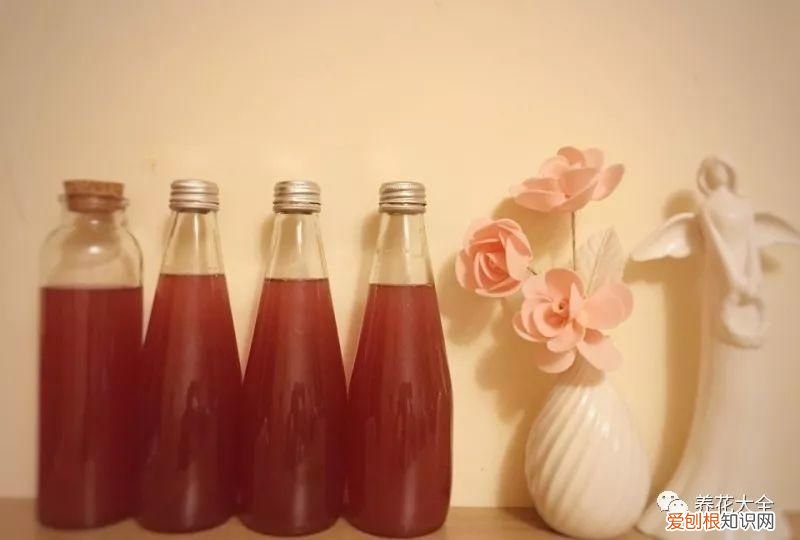 葡萄酒不用买，学会这几招 如何酿制葡萄酒