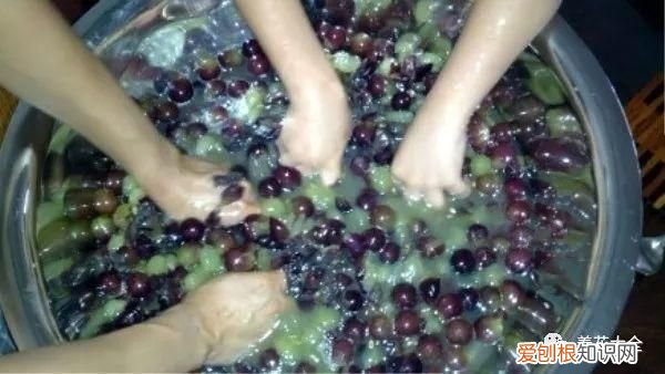葡萄酒不用买，学会这几招 如何酿制葡萄酒