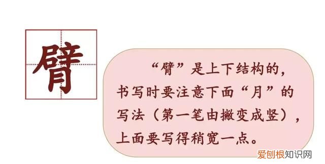 部编版三年级上册语文园地二讲解