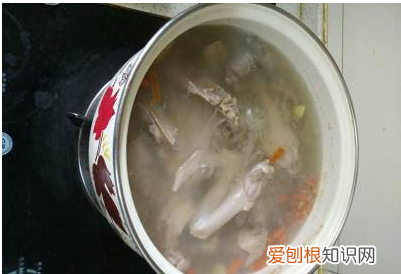 鸭子炖萝卜的做法，鸭子炖萝卜家常做法视频