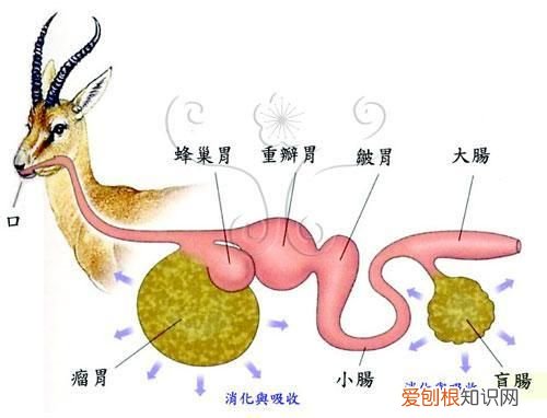 如何处理悲伤的情绪 难过的时候怎么办