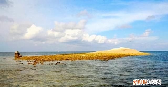 中国琼台礁现状 南海琼台礁最新进展