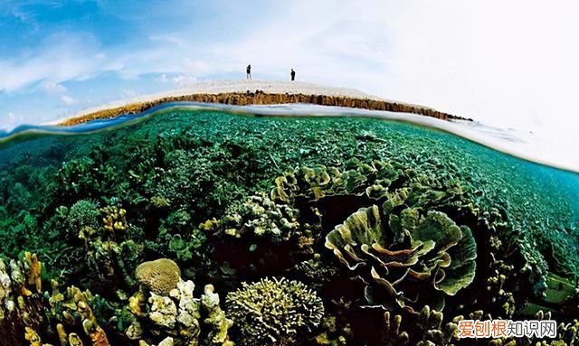 中国琼台礁现状 南海琼台礁最新进展