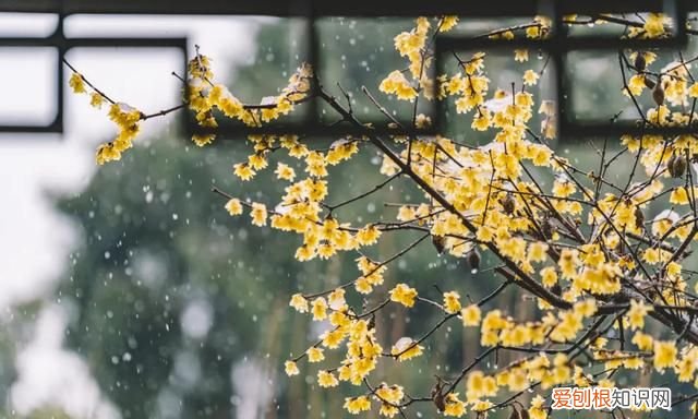 50首宋诗经典,关于春雨的宋诗