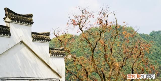 浙江这座小山村，全村人都姓沈，据说江浙地区姓沈的人都来自此处